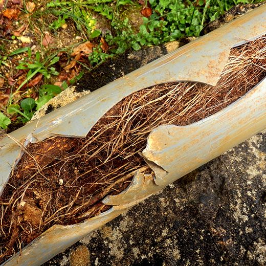 Same Day Drain Sewer & Rooter Pros Across Alton